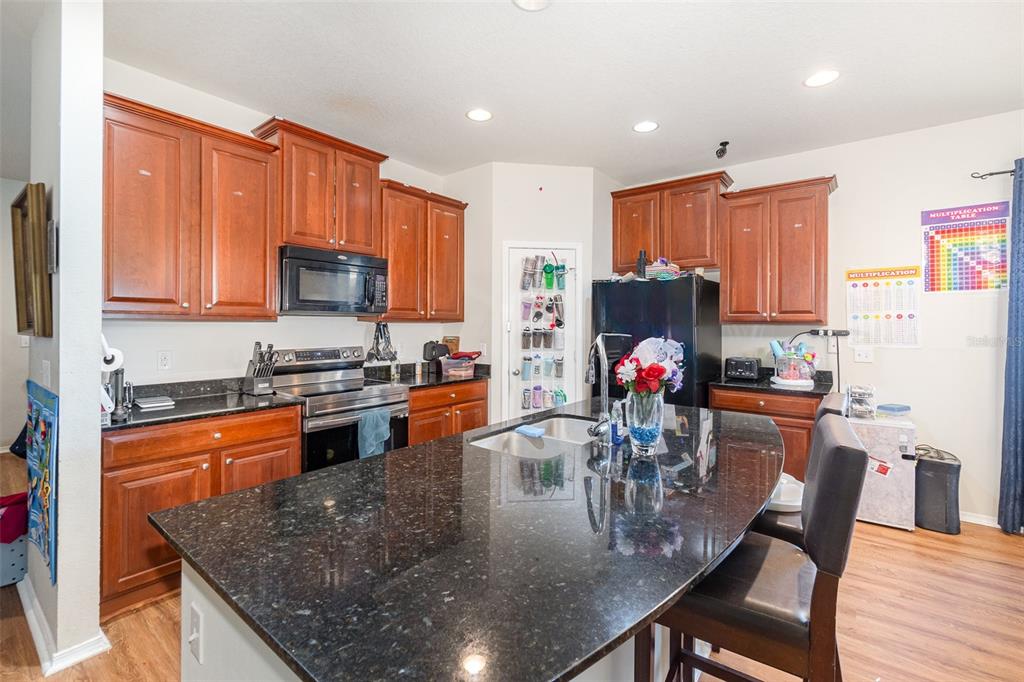 30308 Cheval Street Mount Dora, FL 32757 - Photo 12 of 35