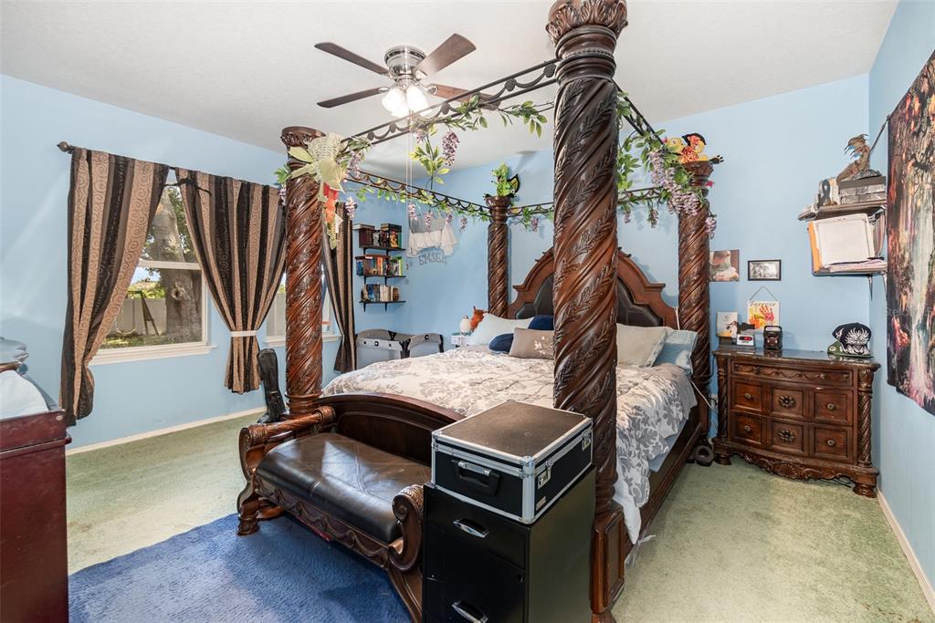 30308 Cheval Street Mount Dora, FL 32757 - Photo 13 of 35