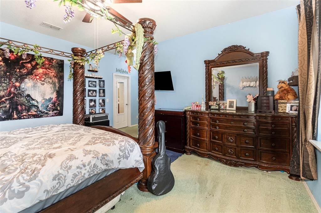 30308 Cheval Street Mount Dora, FL 32757 - Photo 14 of 35