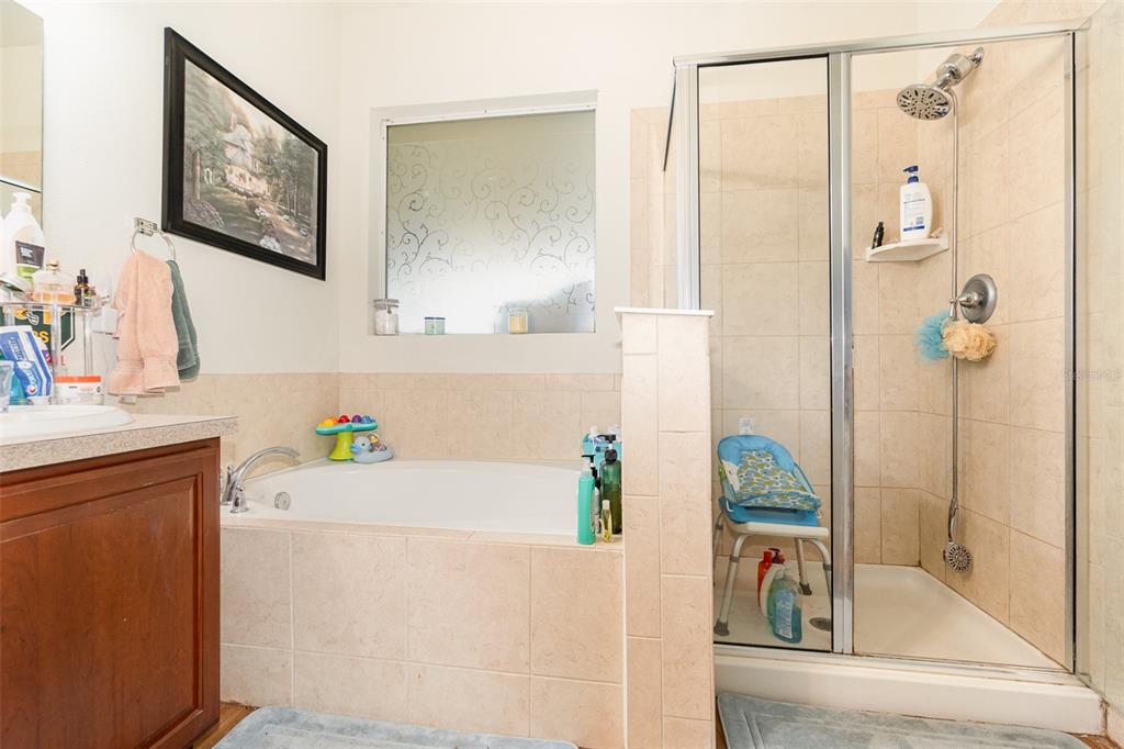 30308 Cheval Street Mount Dora, FL 32757 - Photo 17 of 35