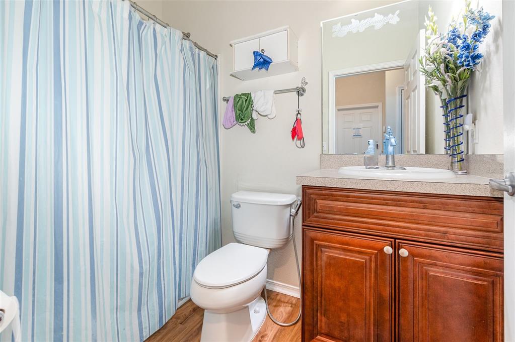 30308 Cheval Street Mount Dora, FL 32757 - Photo 24 of 35