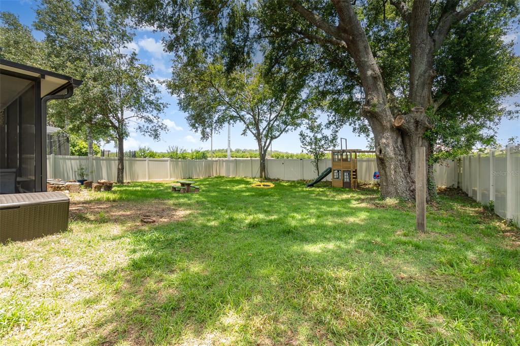 30308 Cheval Street Mount Dora, FL 32757 - Photo 31 of 35