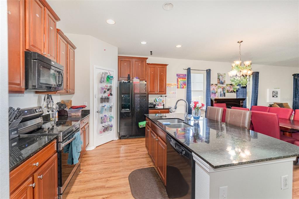 30308 Cheval Street Mount Dora, FL 32757 - Photo 10 of 35