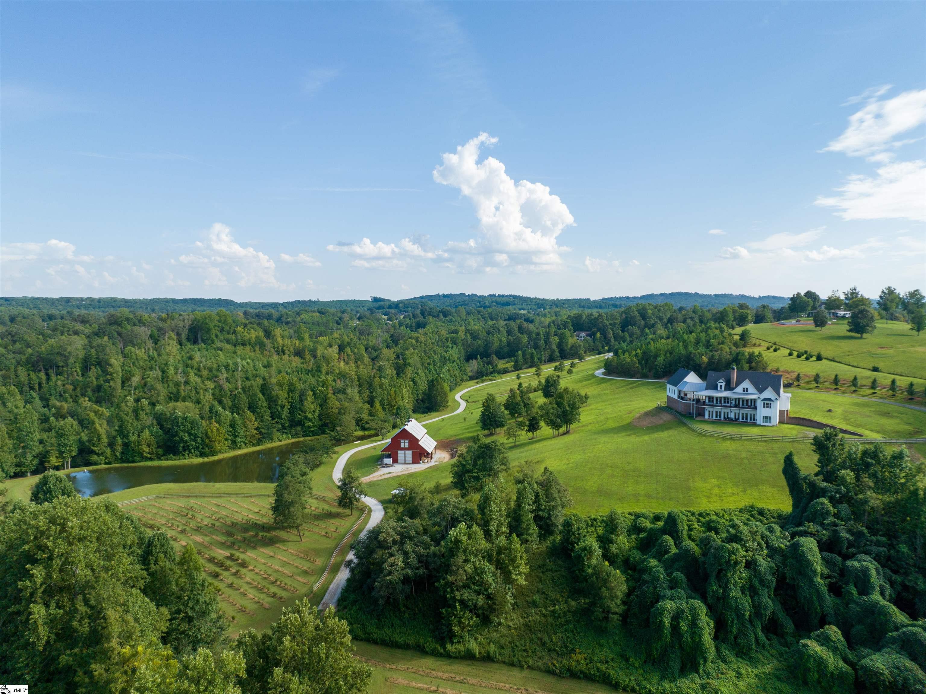 154 Glassy Road Landrum, SC 29356 - Photo 2 of 36