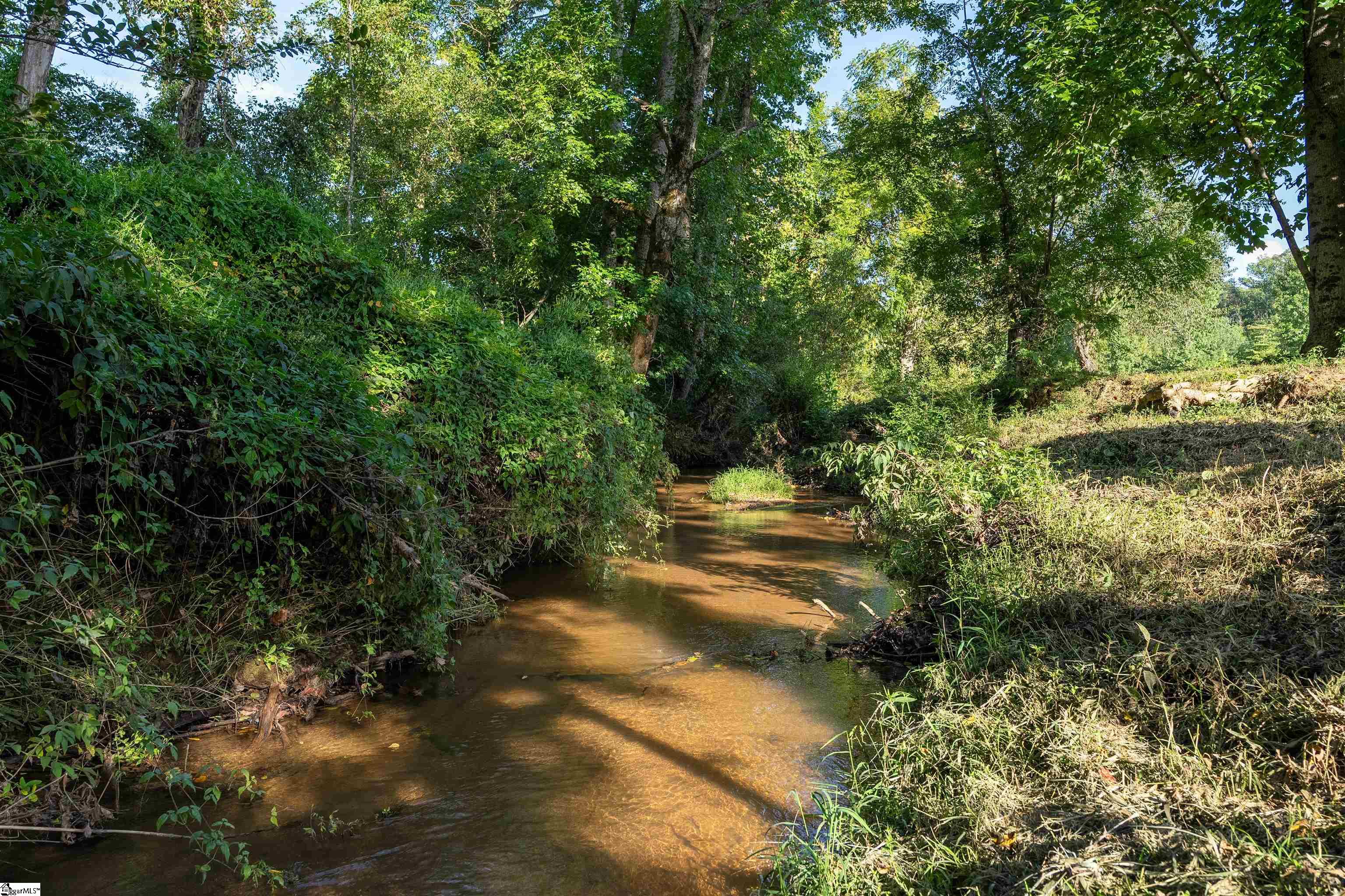 154 Glassy Road Landrum, SC 29356 - Photo 35 of 36