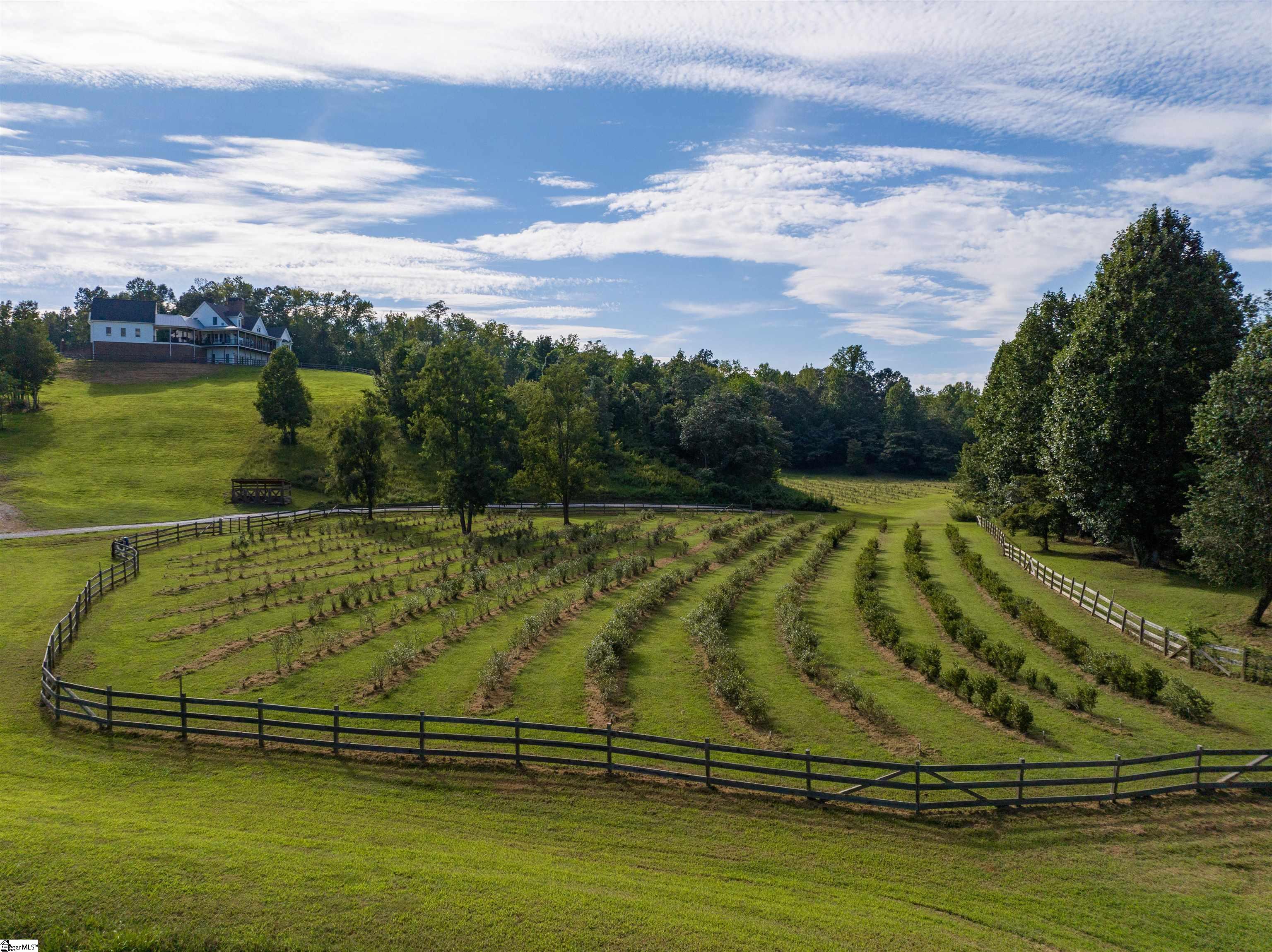 154 Glassy Road Landrum, SC 29356 - Photo 36 of 36