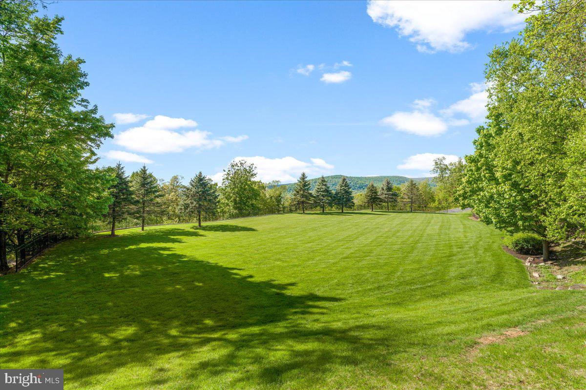 12565 Stone Crest Circle Waynesboro, PA 17268 - Photo 114 of 146 Beautiful, flat "pitch" ready for games