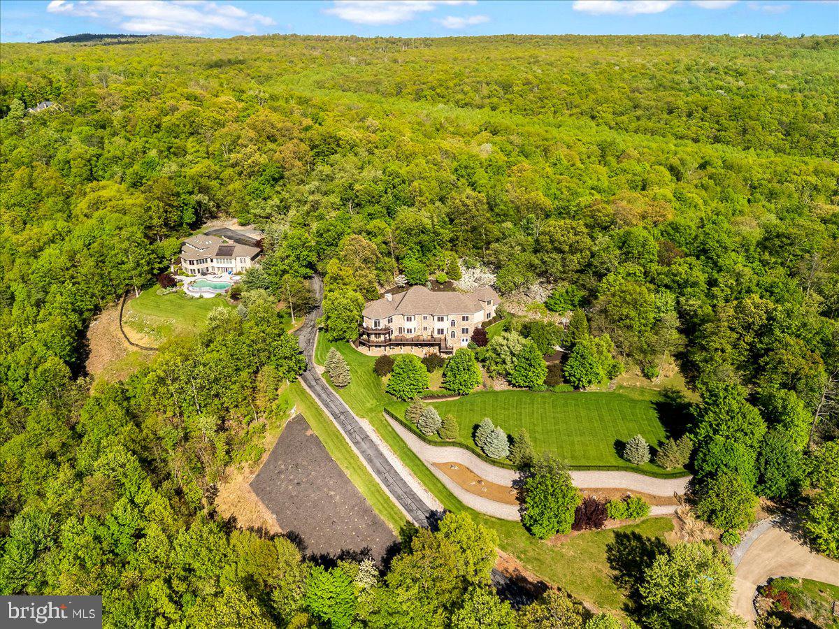 12565 Stone Crest Circle Waynesboro, PA 17268 - Photo 128 of 146 View from above