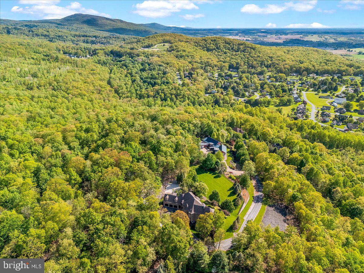 12565 Stone Crest Circle Waynesboro, PA 17268 - Photo 132 of 146 View from above