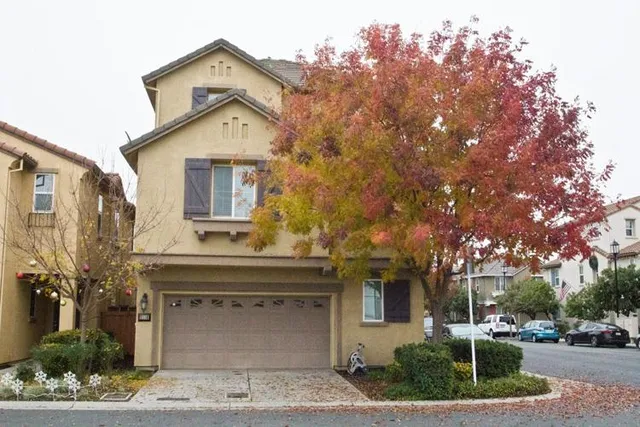 a front view of a house with a garden and tree