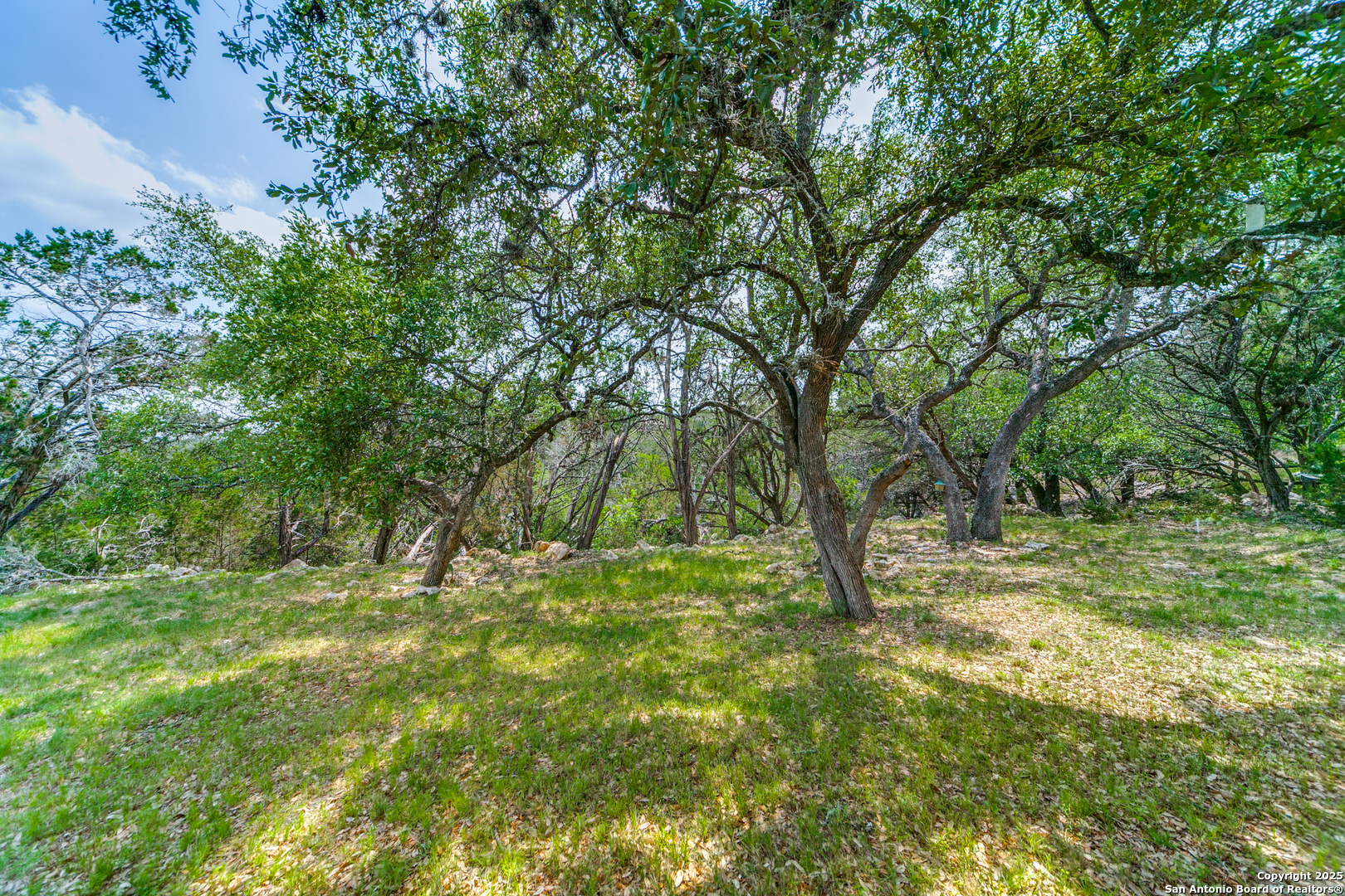 356 Warbler Drive Spring Branch, TX 78070 - Photo 25 of 26