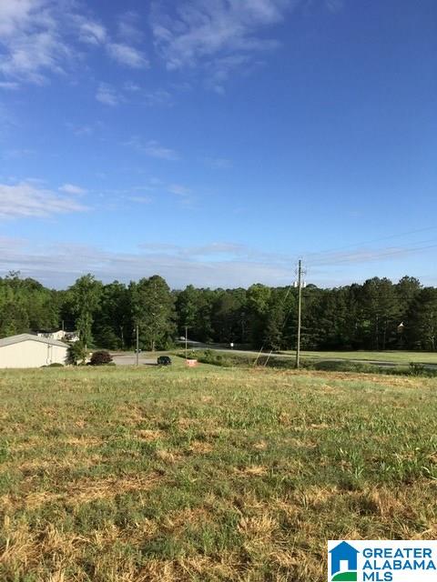 0 Highway 231, Unit 1 5 Oneonta, AL 35121 - Photo 19 of 23