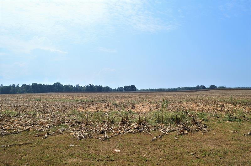 9637 Old Tullahoma Road Tullahoma, TN 37388 - Photo 30 of 30 Wonderful country view of the farm in back.