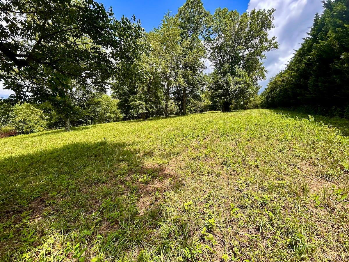 0 Stewartsville Road Vinton, VA 24179 - Photo 34 of 64