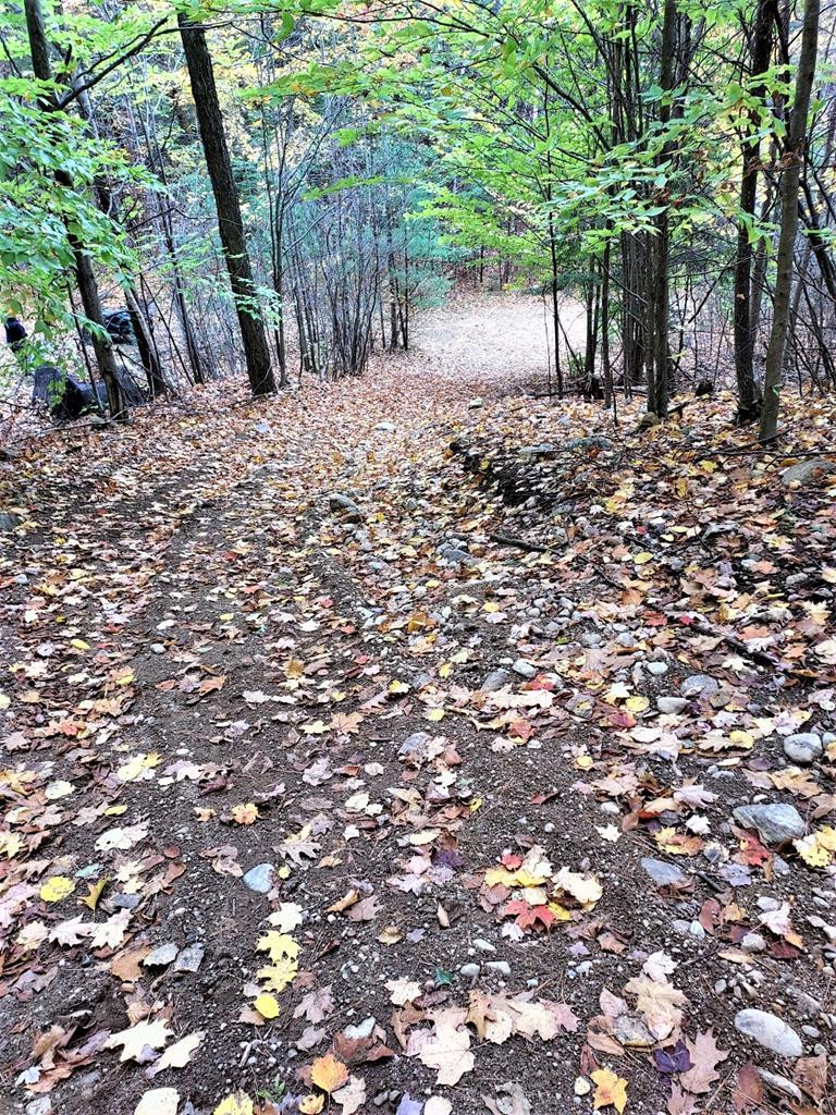 0 Fox Run Road Elizabethtown, NY 12932 - Photo 12 of 14 Gallery Image 12