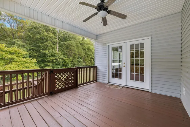 a view of a garden with plants and a bench