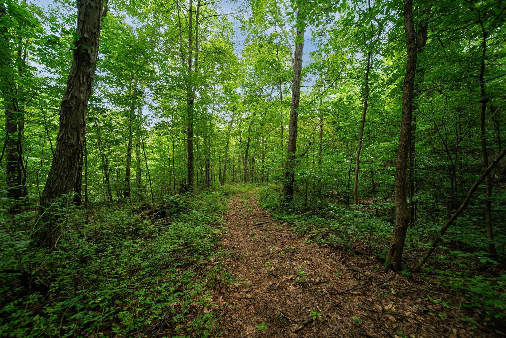 9758 Wesley Chapel Road Mount Perry, OH 43760 - Photo 21 of 43 20-web-or-mls-Todd Burns - 9758 Wesley C