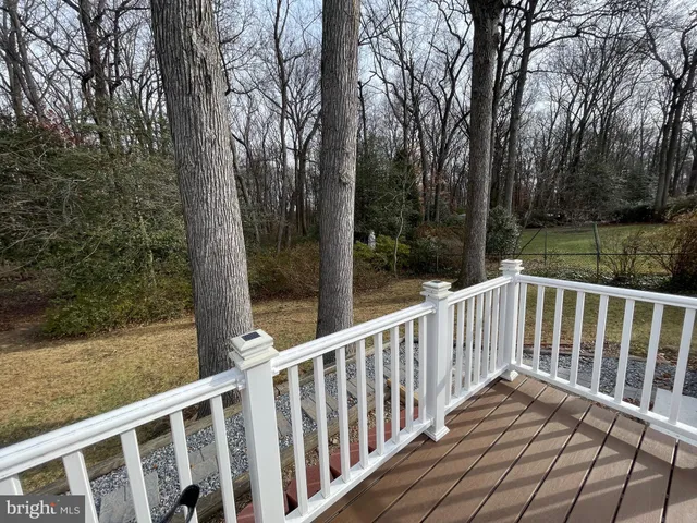 a view of deck with a large trees
