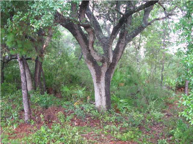 X Gable Lake Road Navarre, FL 32566 - Photo 8 of 13 Additional Photo
