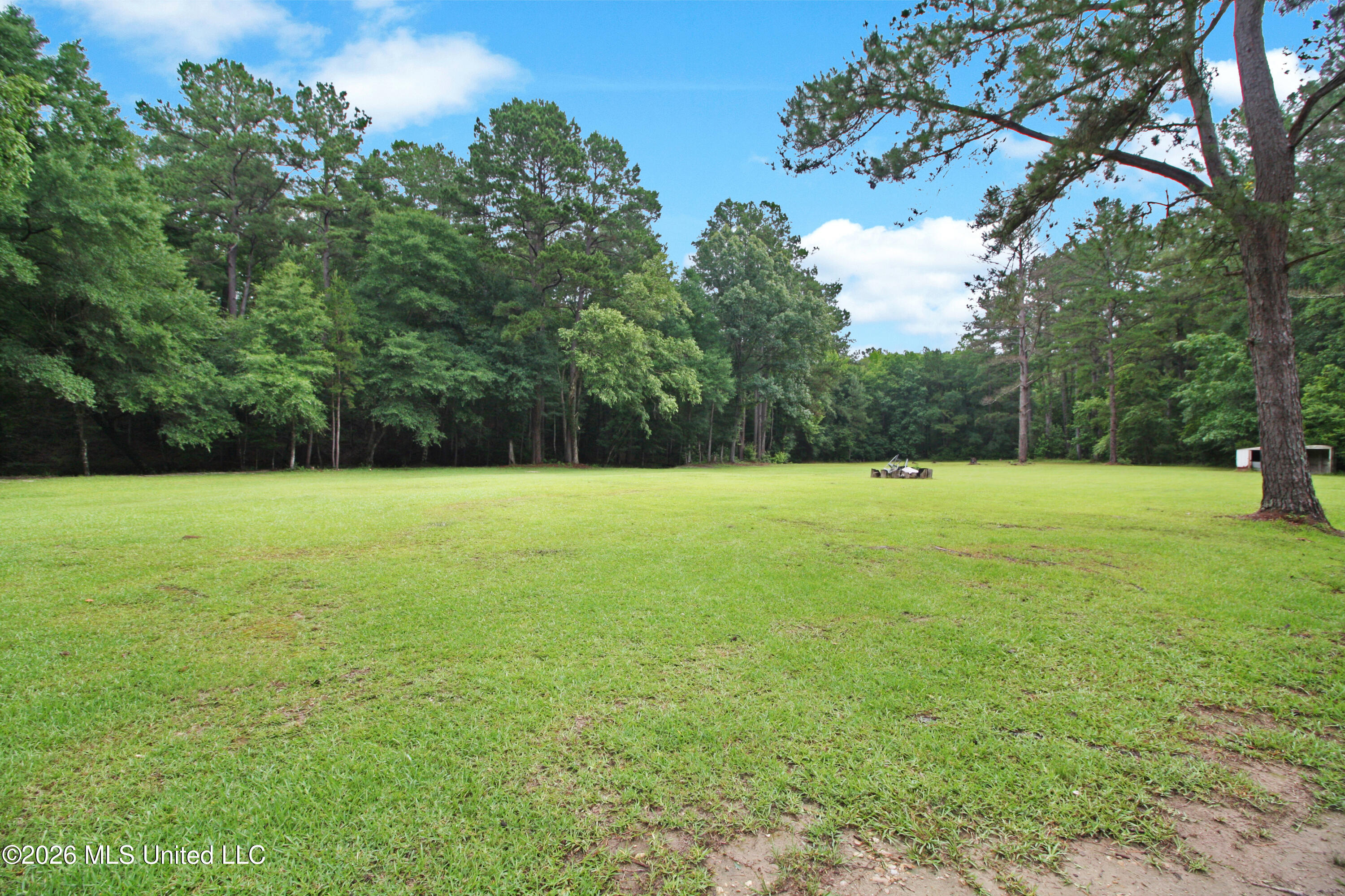 2623 Pleasant Valley Road Meadville, MS 39653 - Photo 55 of 55 IMG_1003