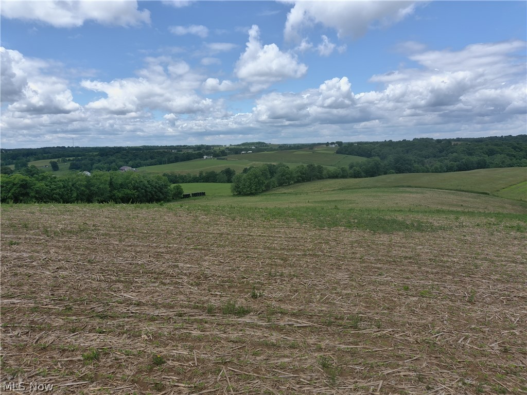 Young Road Adamsville, OH 43802 - Photo 12 of 19 Gallery Image 12