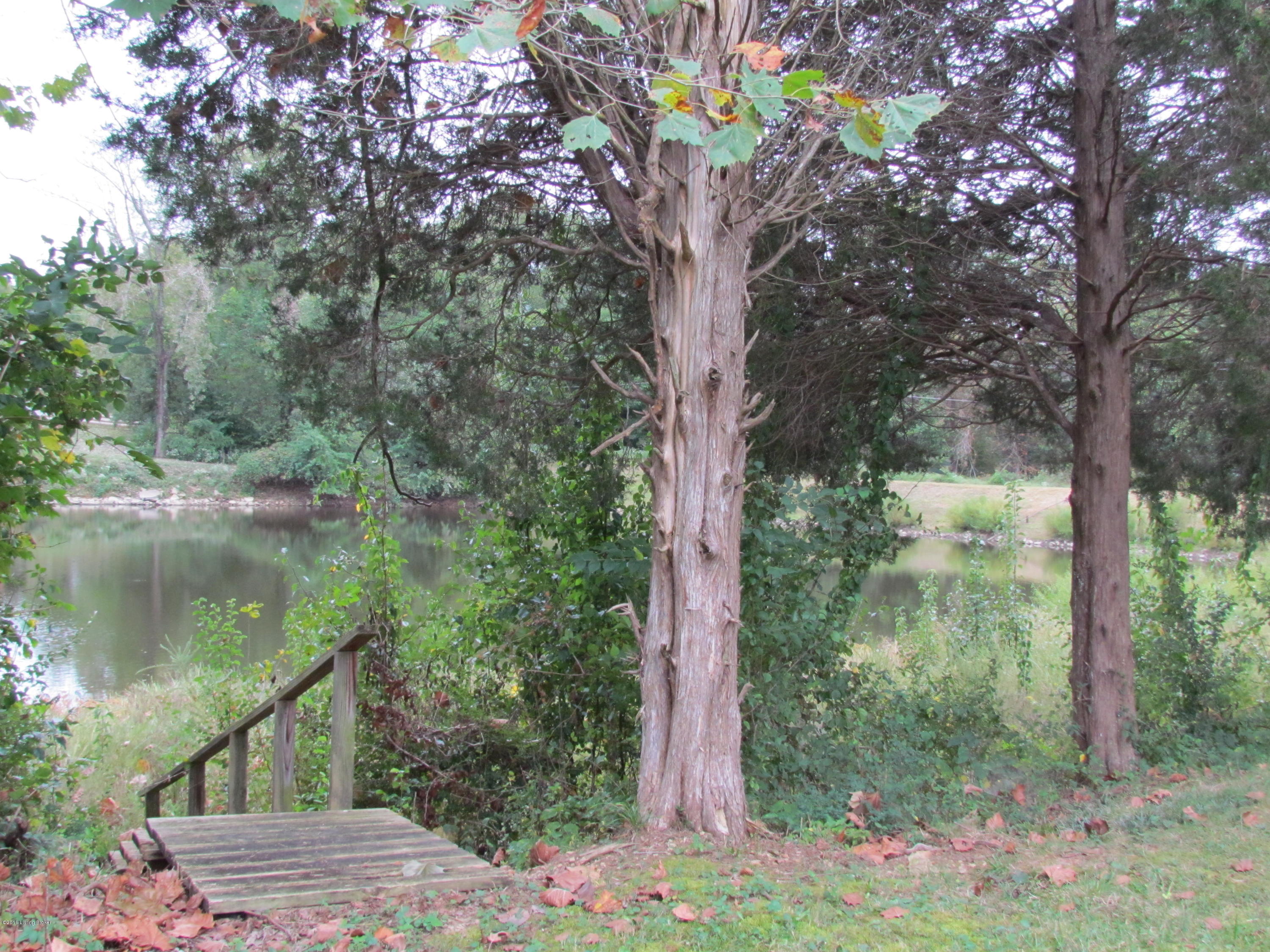 12126 Maplewood Road Goshen, KY 40026 - Photo 6 of 34 Steps to the LAKE!