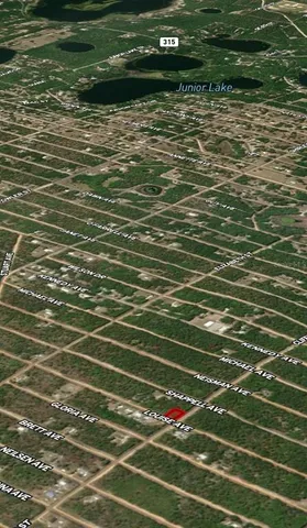 $7,700 | 36 Louise Avenue, Interlachen, FL 32148