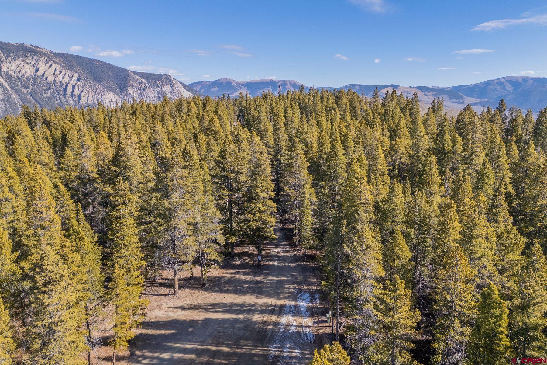997 Saddle Ridge Road Crested Butte, CO 81224 - Photo 12 of 43