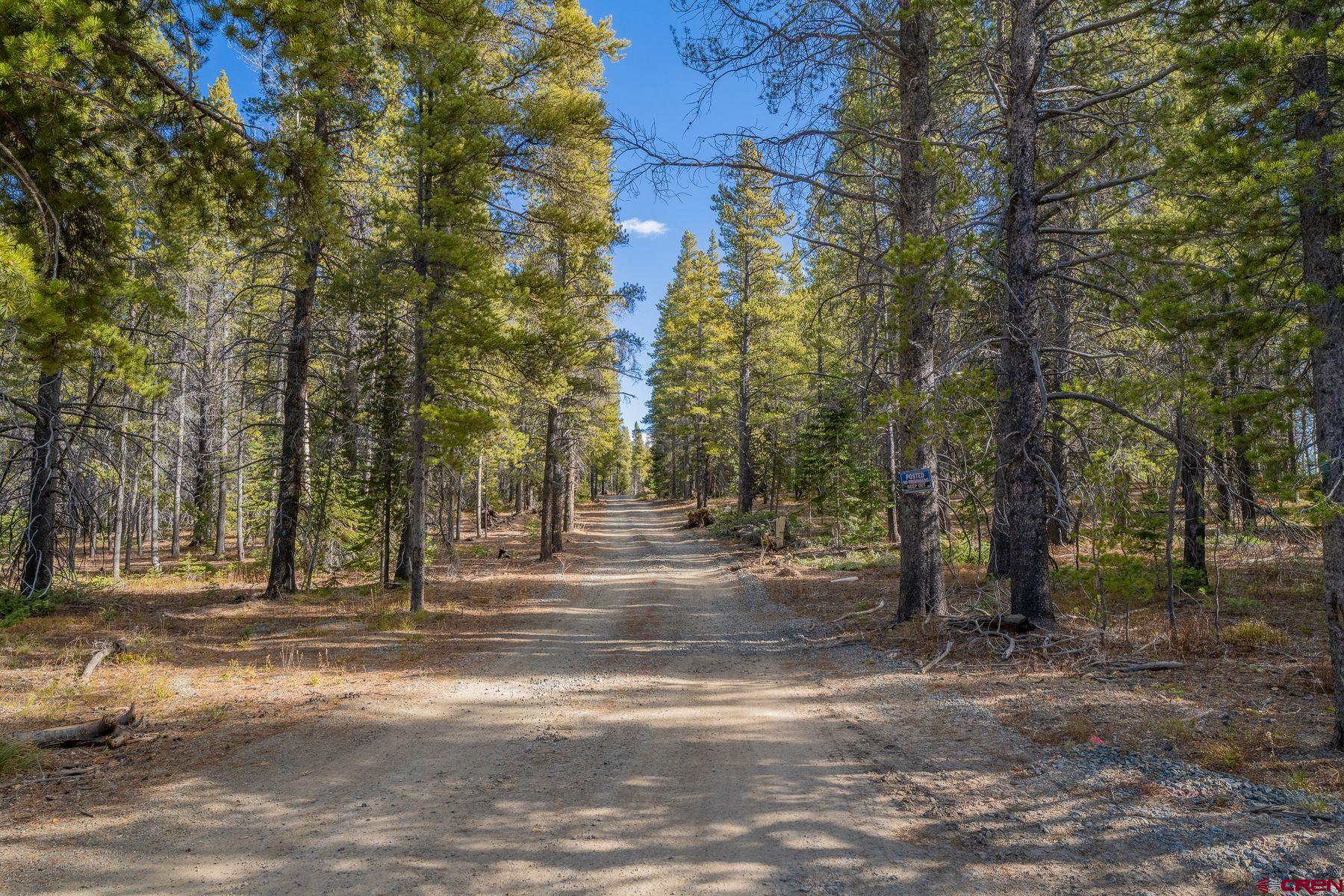 997 Saddle Ridge Road Crested Butte, CO 81224 - Photo 28 of 45 a view of road with trees