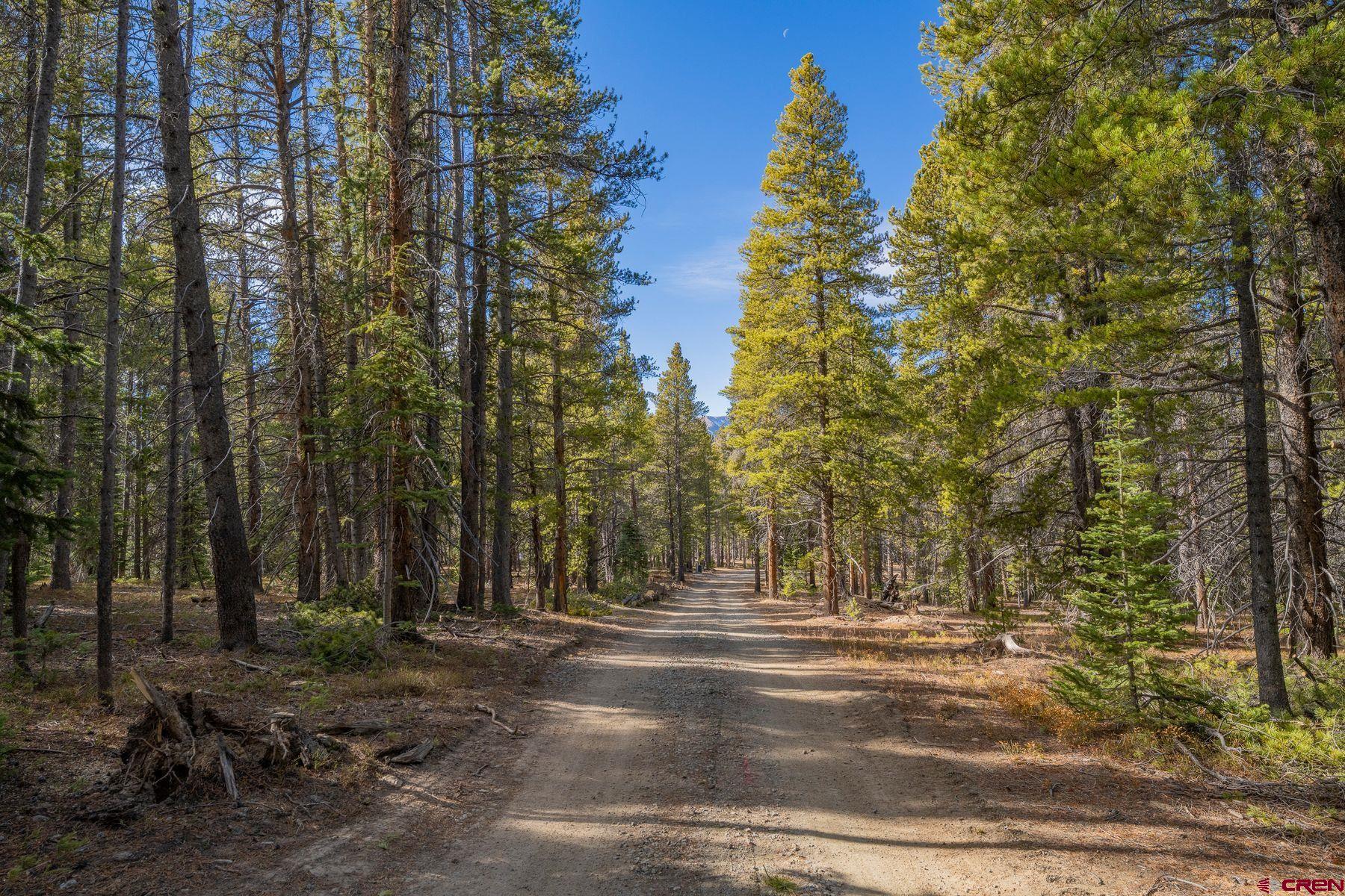 997 Saddle Ridge Road Crested Butte, CO 81224 - Photo 30 of 45 a view of outdoor space with trees