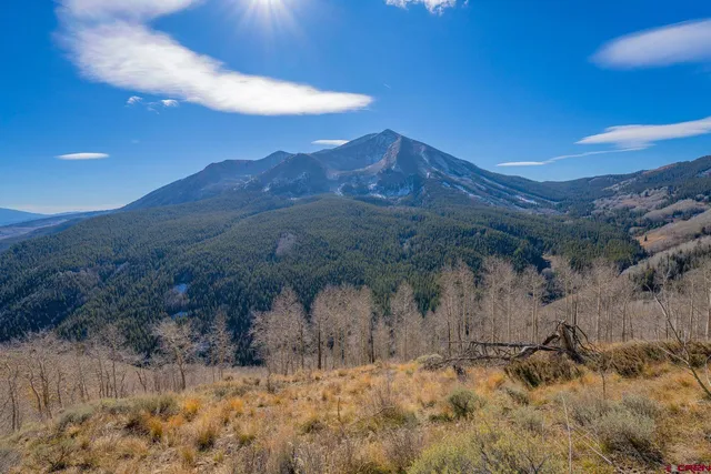 a view of a yard with mountain view