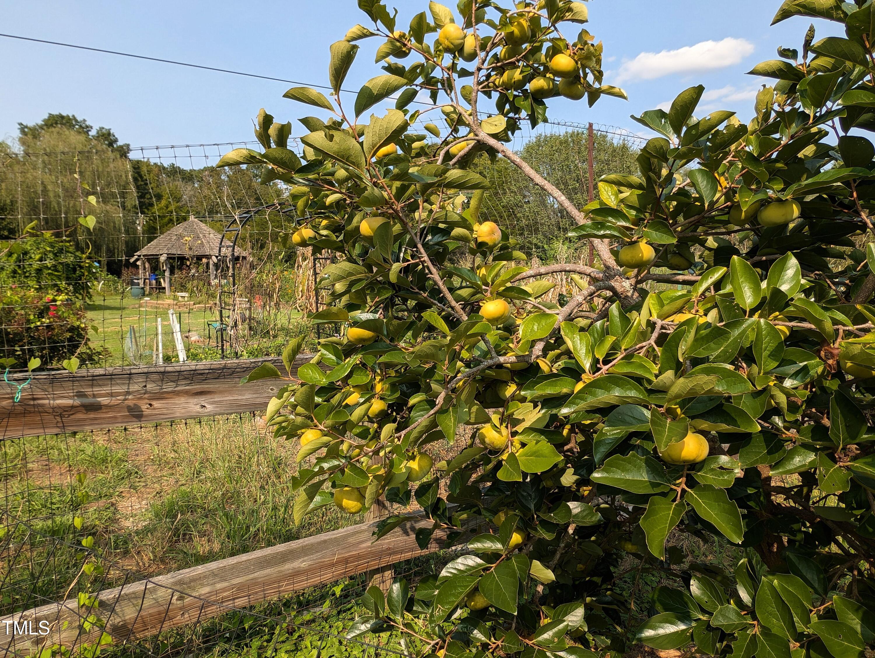 136 Solterra Way Durham, NC 27705 - Photo 11 of 20