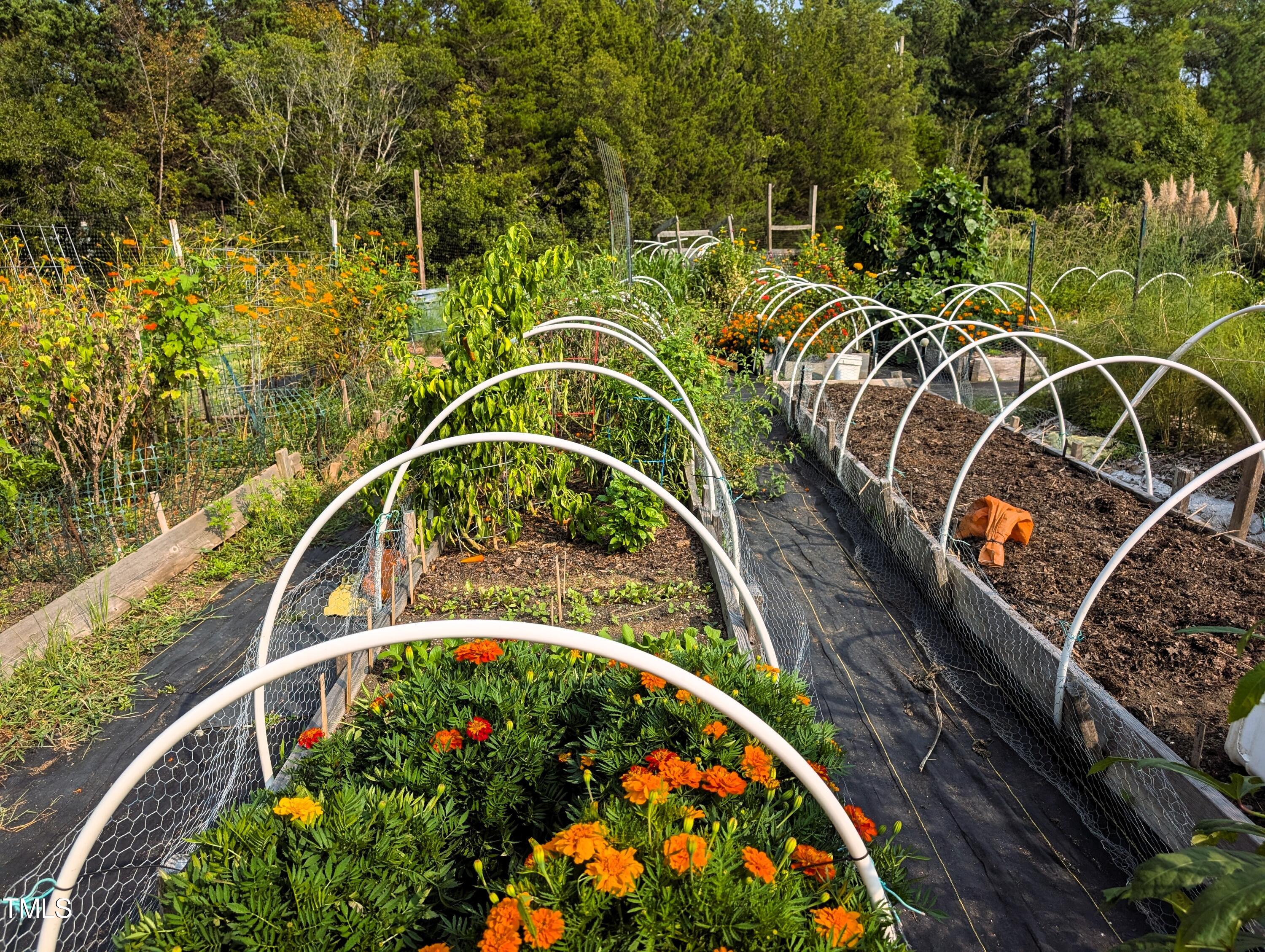 136 Solterra Way Durham, NC 27705 - Photo 13 of 20