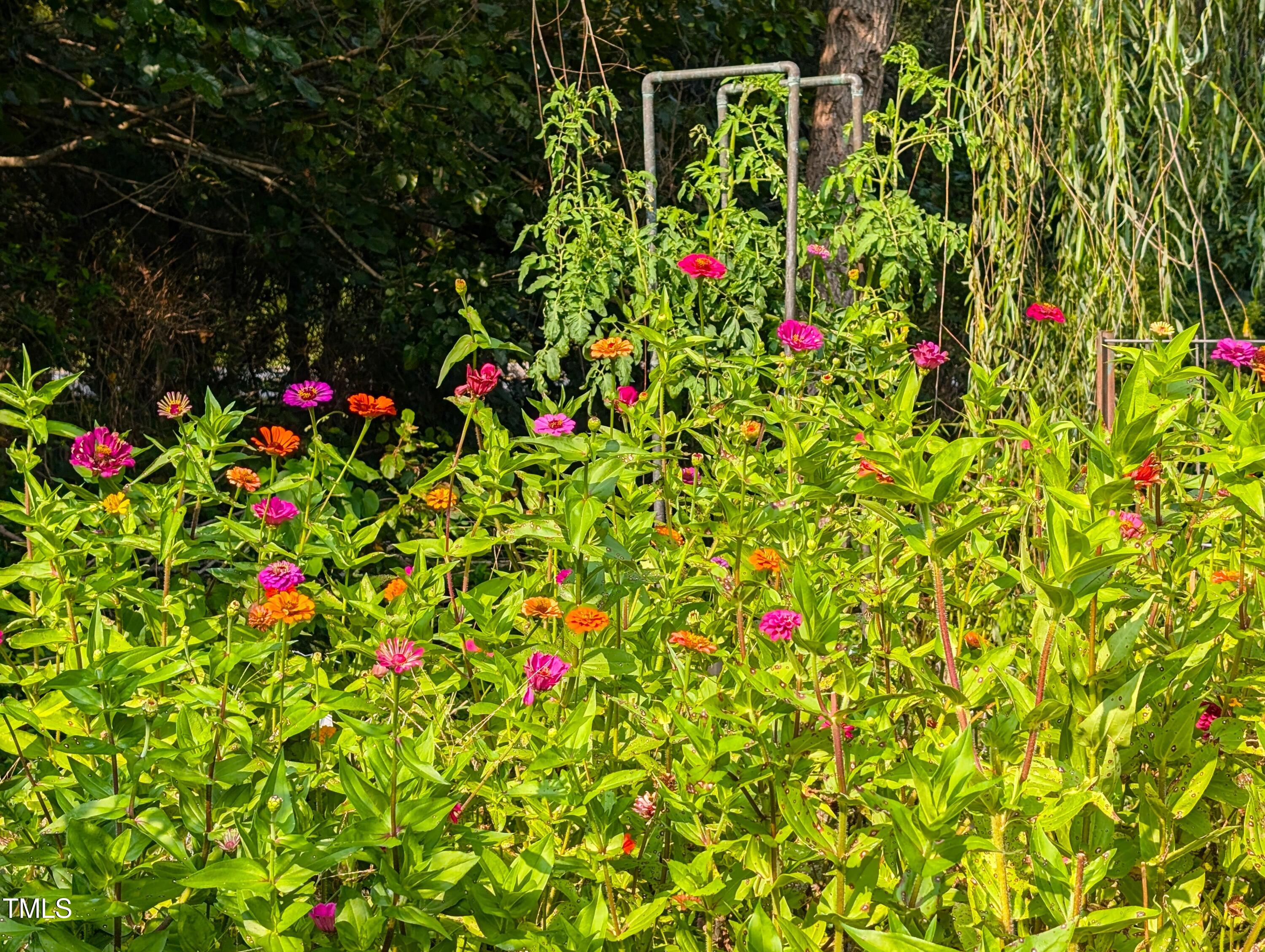 136 Solterra Way Durham, NC 27705 - Photo 17 of 20 a small yard with flowers and wooden fence