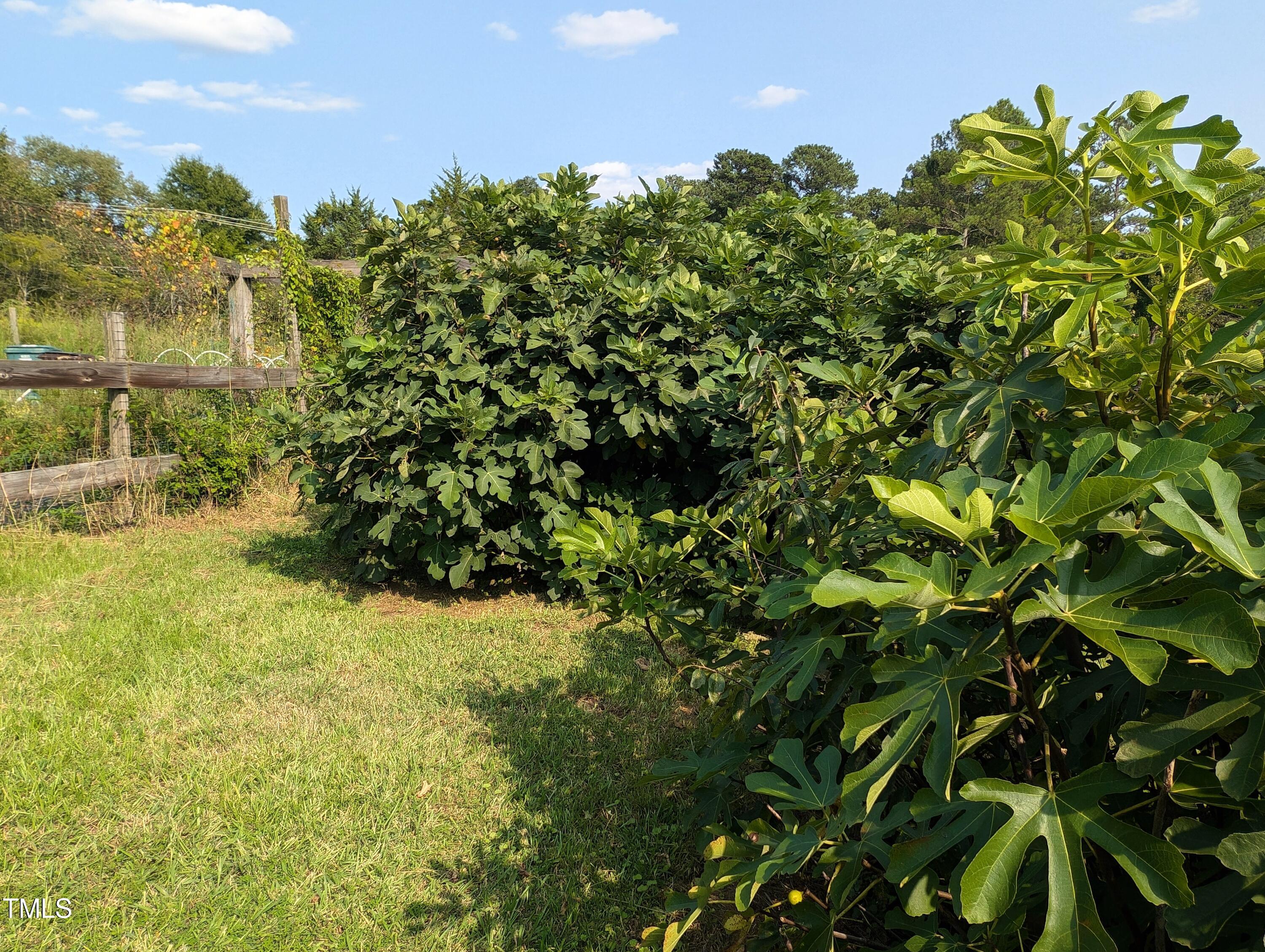136 Solterra Way Durham, NC 27705 - Photo 20 of 20 a view of a bunch of plants and trees