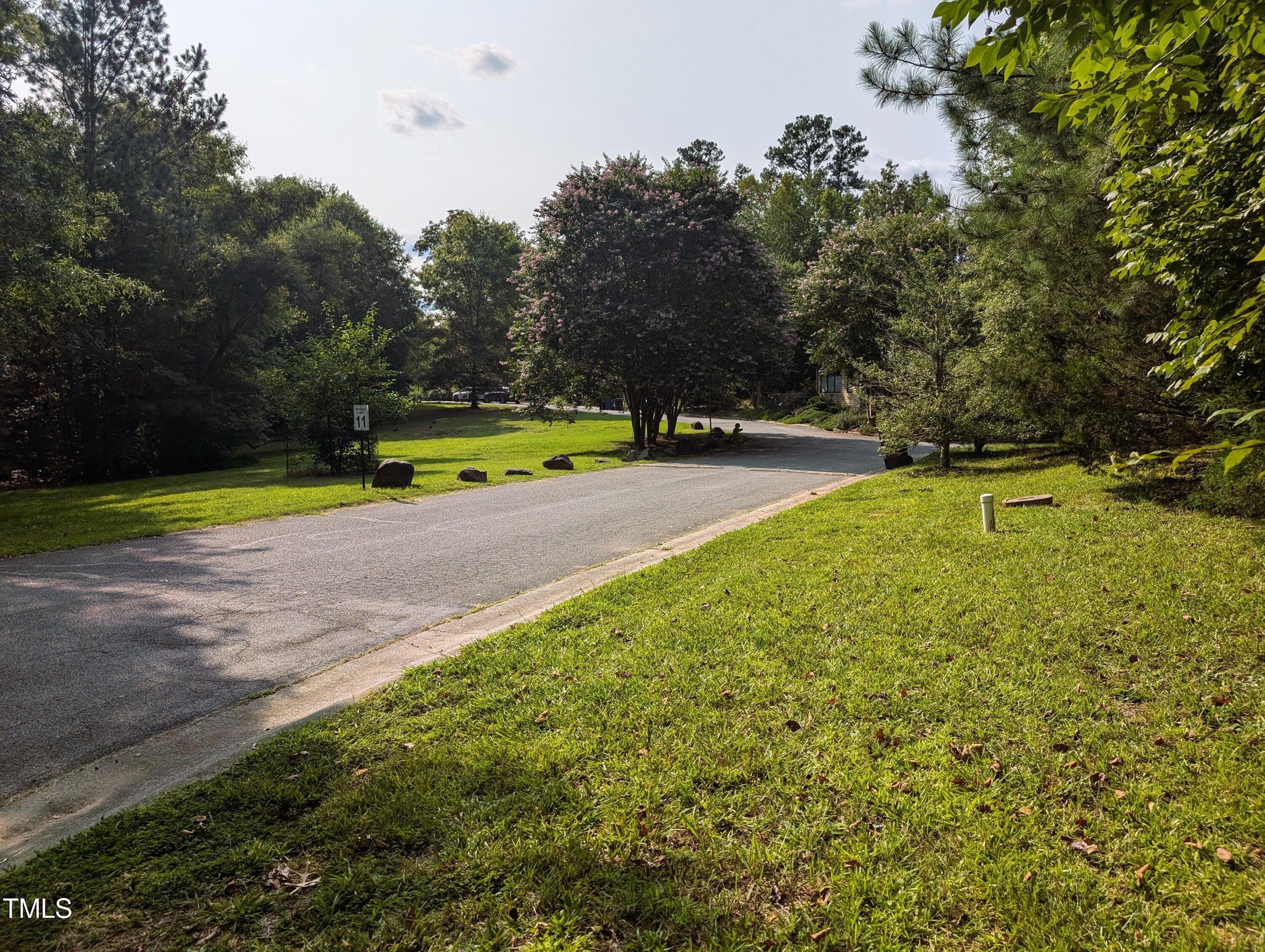 136 Solterra Way Durham, NC 27705 - Photo 3 of 20 a view of a swimming pool with a yard and a slide