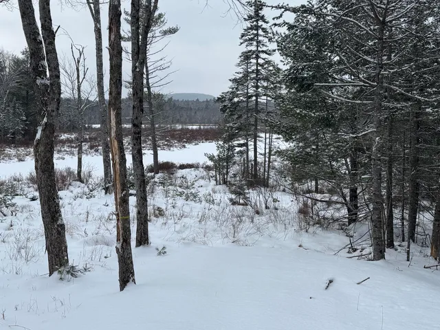 $229,000 | M29-l75 Ellsworth Road, Blue Hill, ME 04614