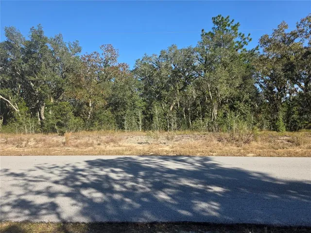 $25,900 | 31 Southwest Viburnum Road, Dunnellon, FL 34431