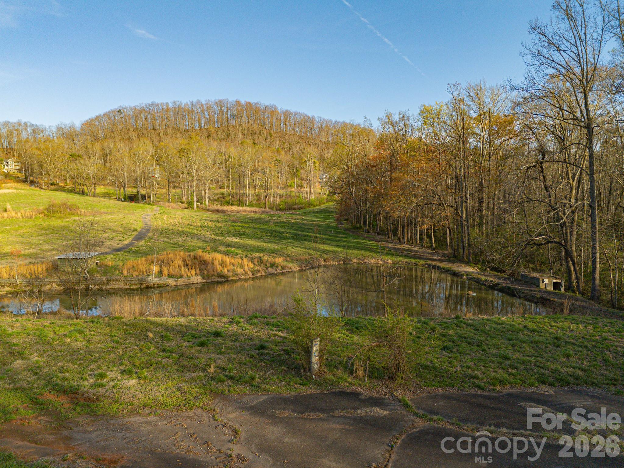 Tbd Golf Course Road Old Fort, NC 28762 - Photo 4 of 42