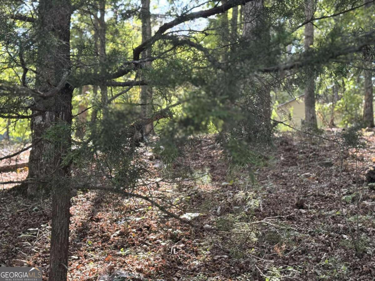 0 Cagle Road Northeast Rydal, GA 30171 - Photo 1 of 12