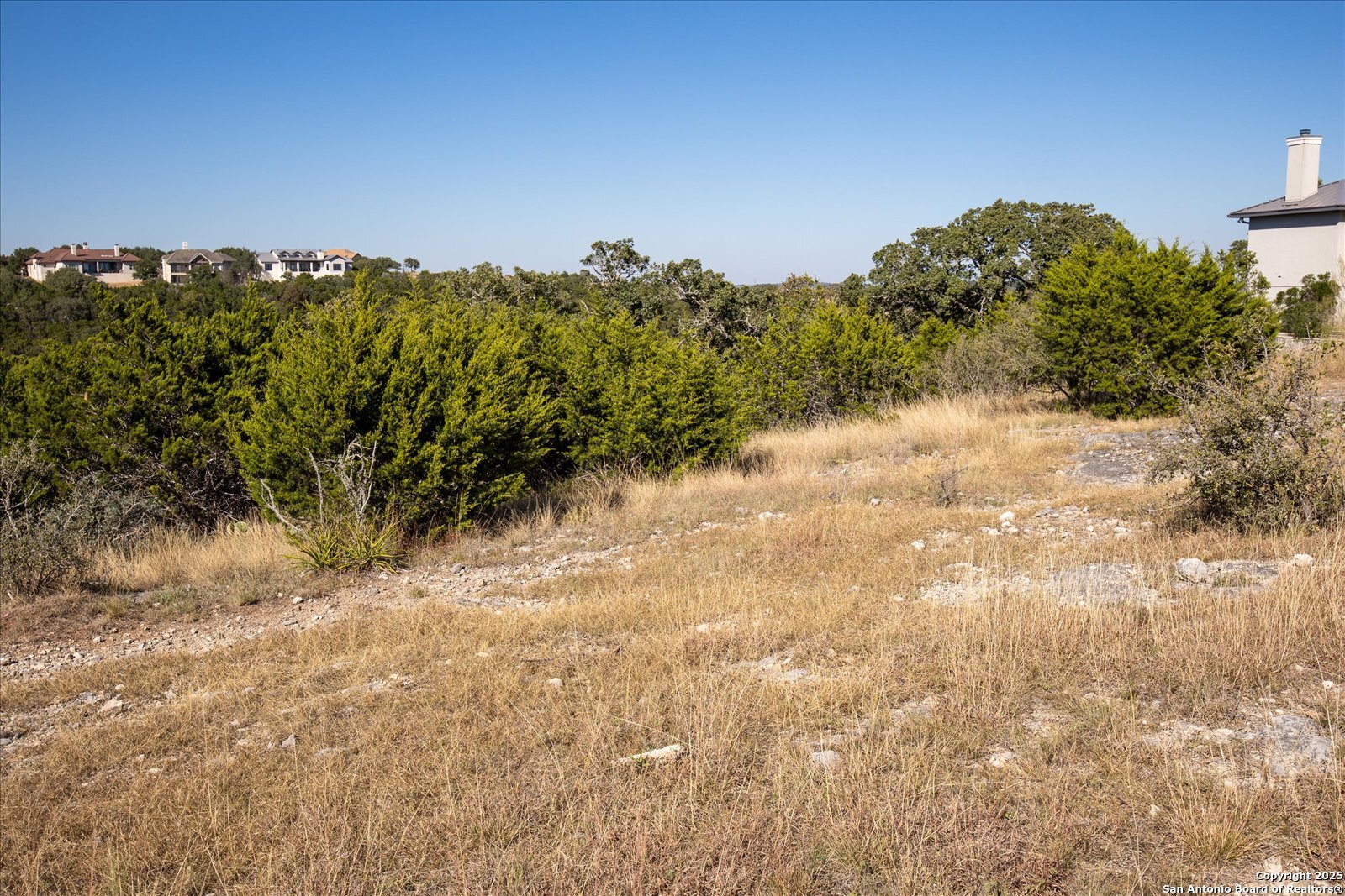 112 Towne View Circle Boerne, TX 78006 - Photo 19 of 29 a view of a large yard with lots of green space
