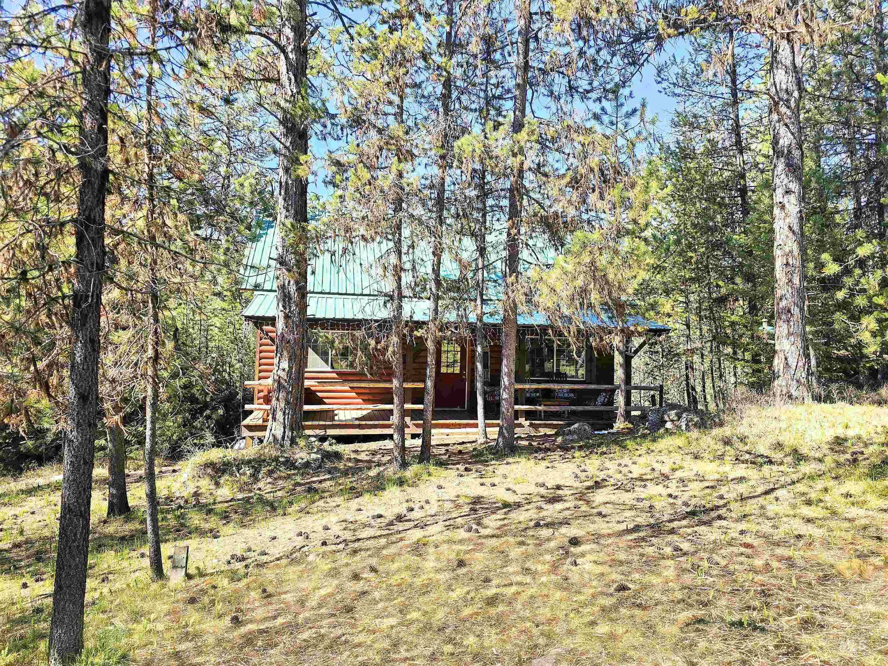 22584 Meadows Lane Lewiston, ID 83501 - Photo 10 of 28