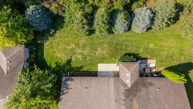a view of a yard with potted plants
