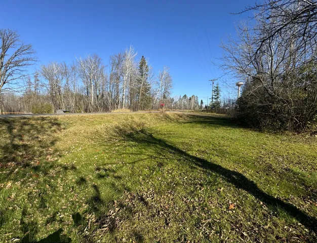 $7,500 | Tbd 302-xx Tbd 302-xx 480th Street, Palisade, MN 56469