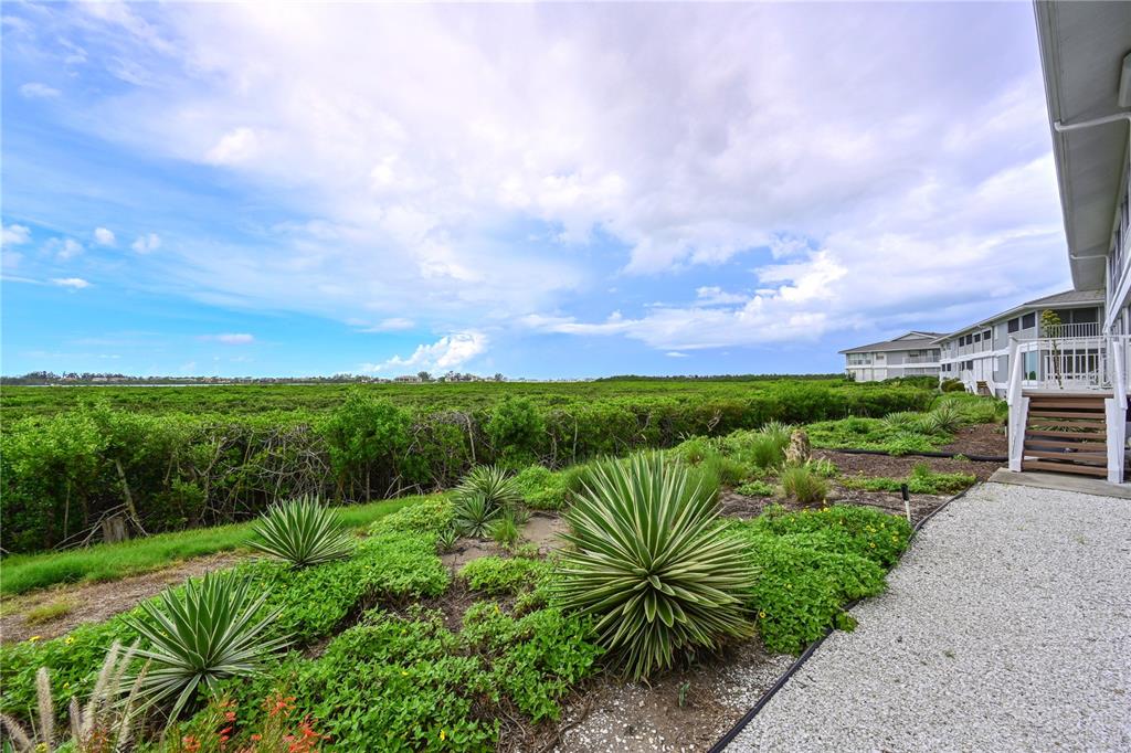 1319 Perico Point Circle Bradenton, FL 34209 - Photo 27 of 59