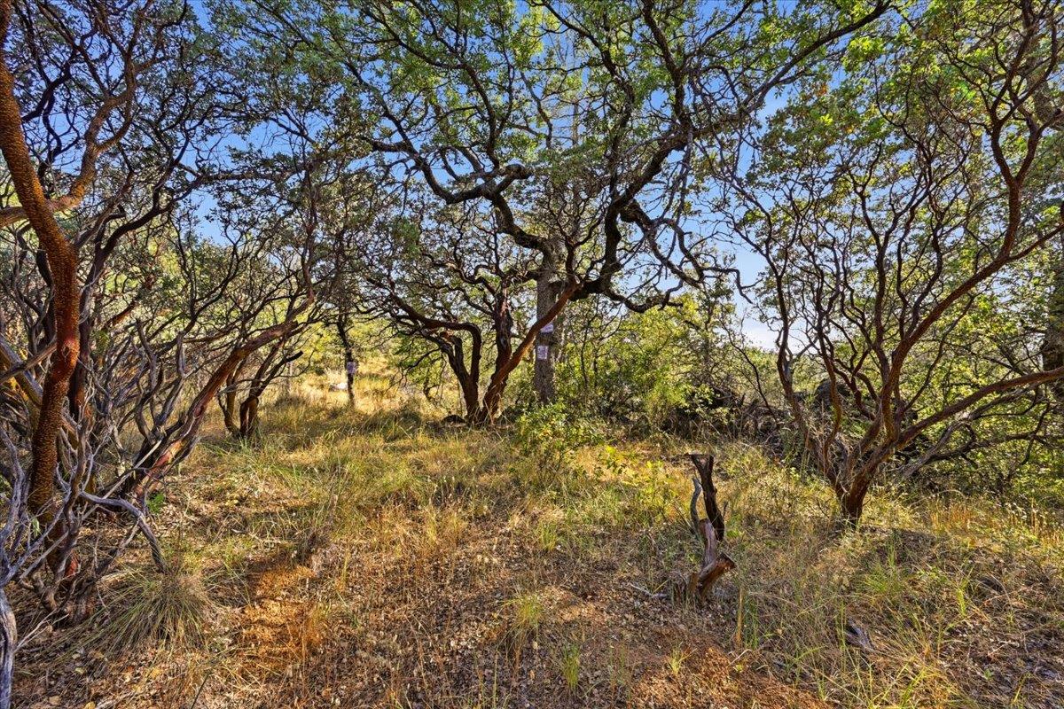 17436 Black Forest Road Penn Valley, CA 95946 - Photo 30 of 36