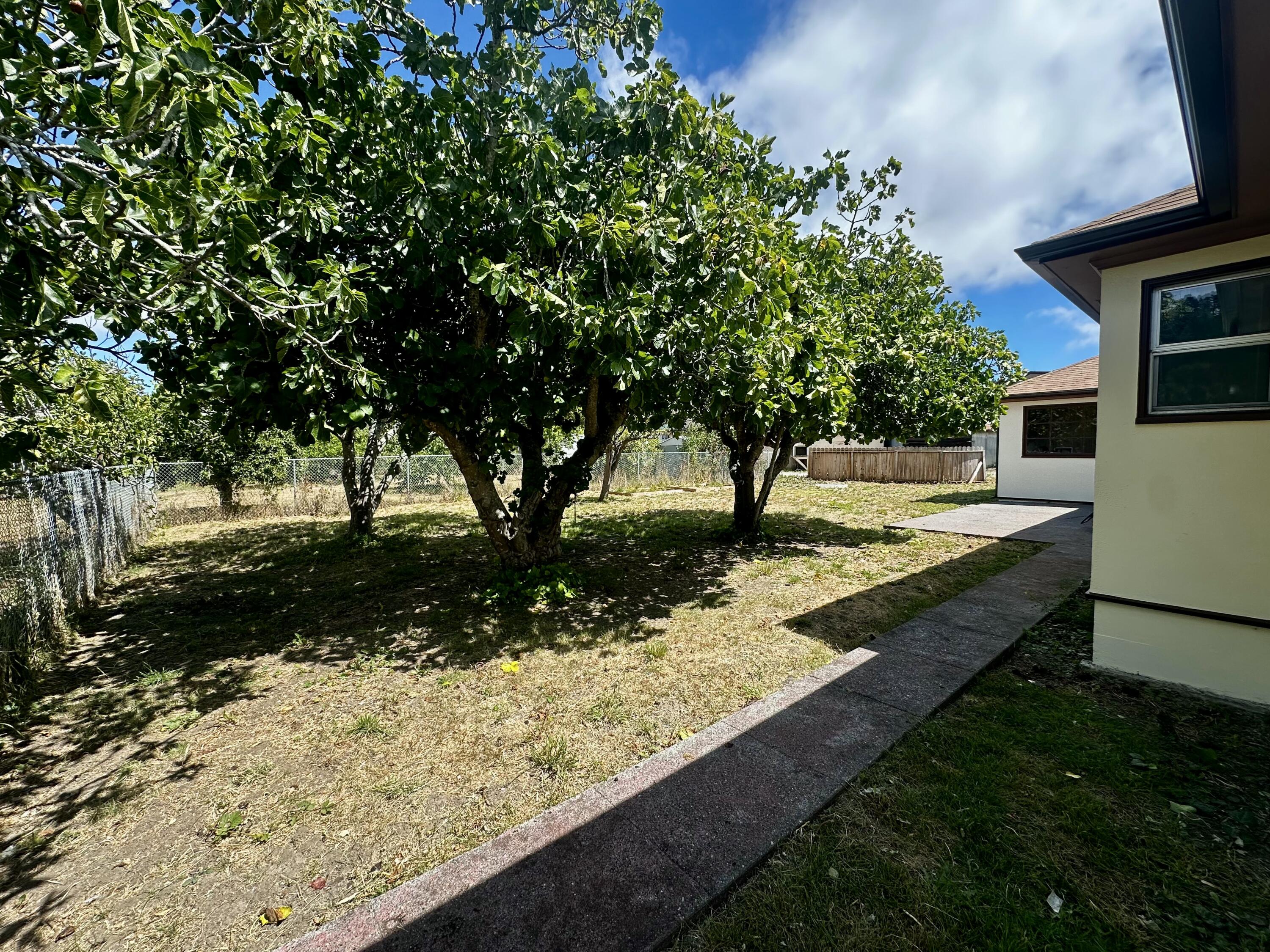 70 Monument Road Rio Dell, CA 95562 - Photo 29 of 38 IMG_4114