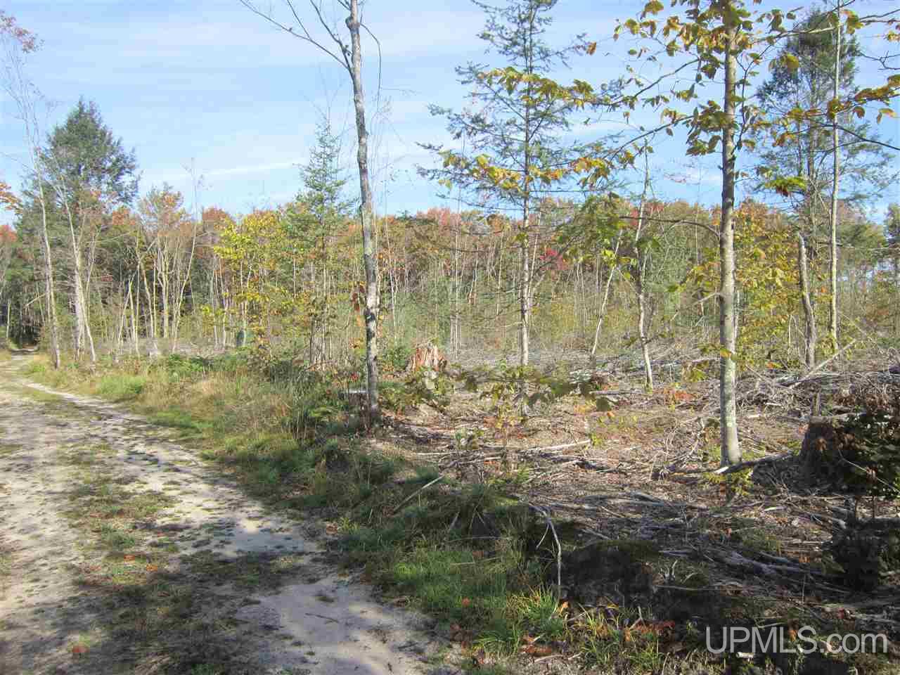 N2003 Sturgeon River Road Munising, MI 49862 - Photo 20 of 36
