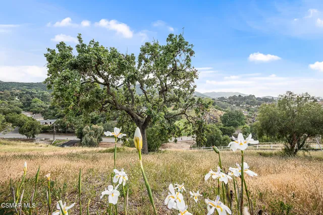 a view of livingroom with an empty room and floor to ceiling window
