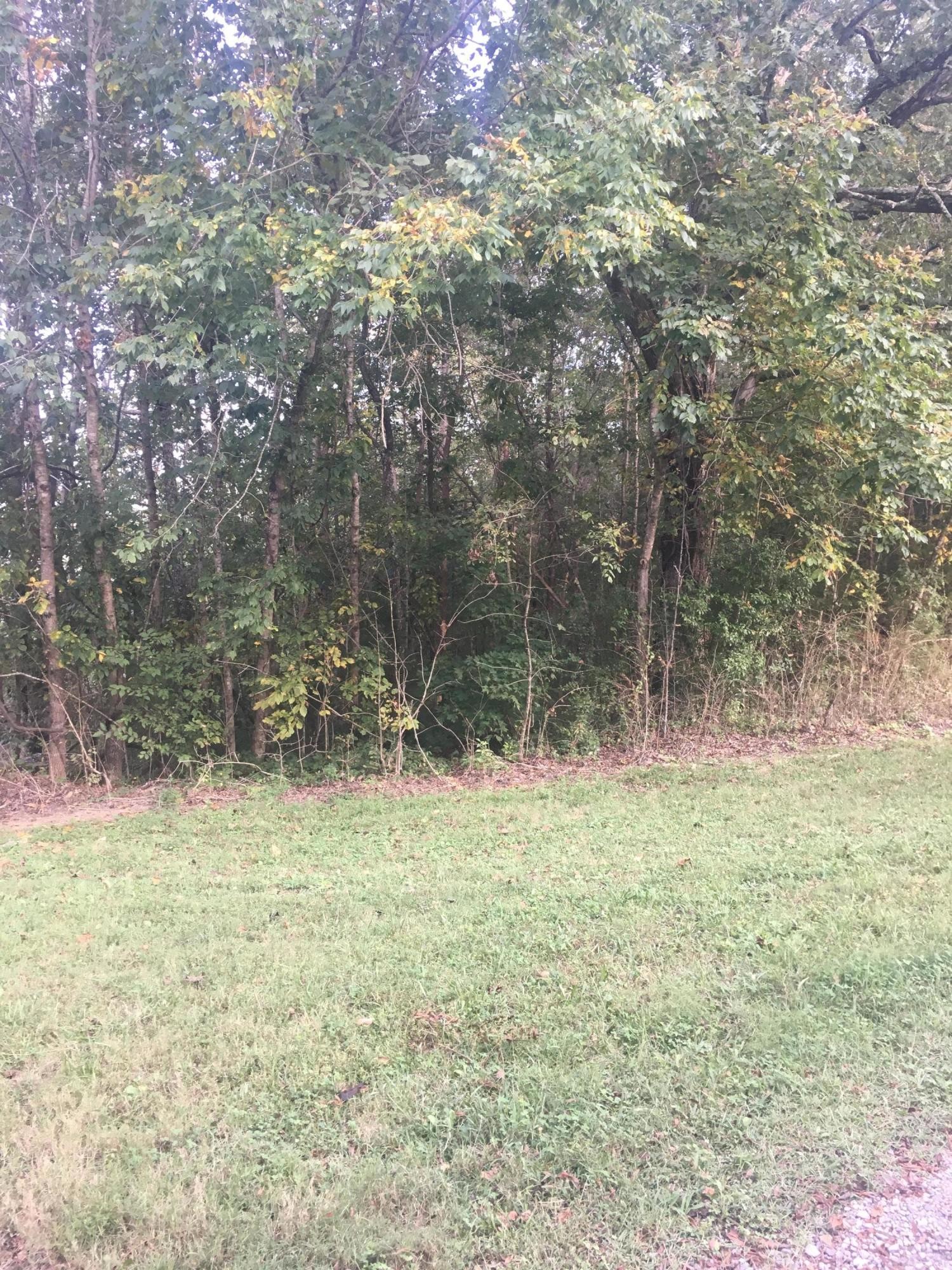 3 King Road Dunlap, TN 37327 - Photo 3 of 17 Gallery Image 3